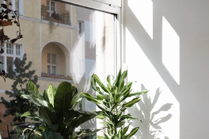 KÖRPERKLÄNGE Osteopathische Massage & Körpertherapie · Raum für Körperbewusstsein – Pankow, Berlin