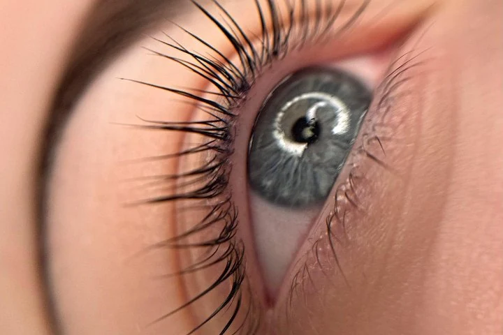 Lashes by Faceart – Zentrum-Nord, Leipzig