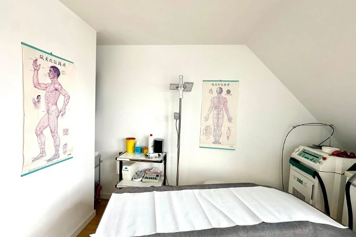 Praxis für Akkupunktur und Traditionelle Chinesische Medizin – Oberwiesenfeld, München