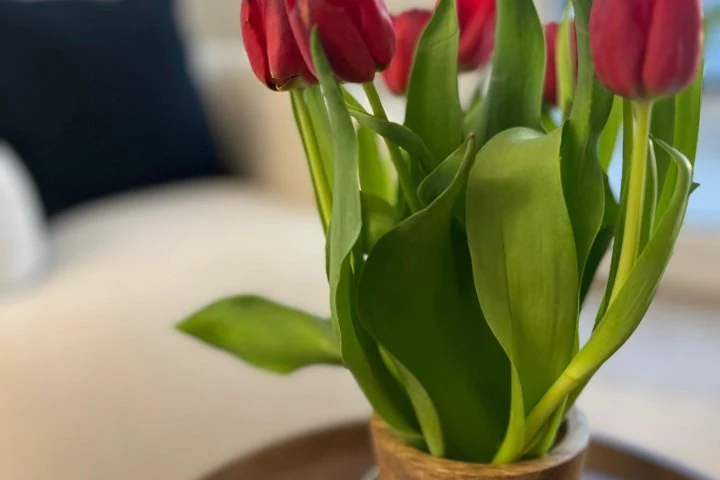 Praxis Meier für Laser & Aesthetic Gießen – Innenstadt, Gießen